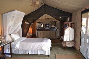 Fish Eagle Camp 1