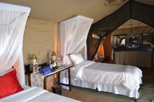 Fish Eagle Camp 2