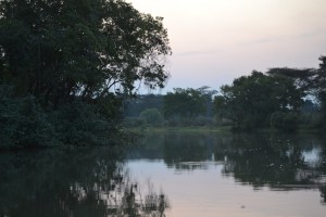 Malagarasi River